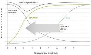 implant- stabilizacja